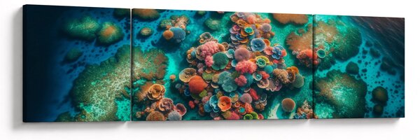 Obraz - Widok na morze (170x50 cm)