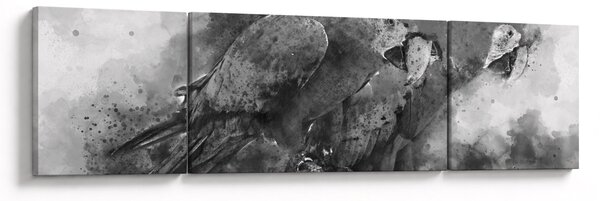 Obraz - Papugi akwarelowe (170x50 cm)