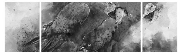 Obraz - Papugi akwarelowe (170x50 cm)