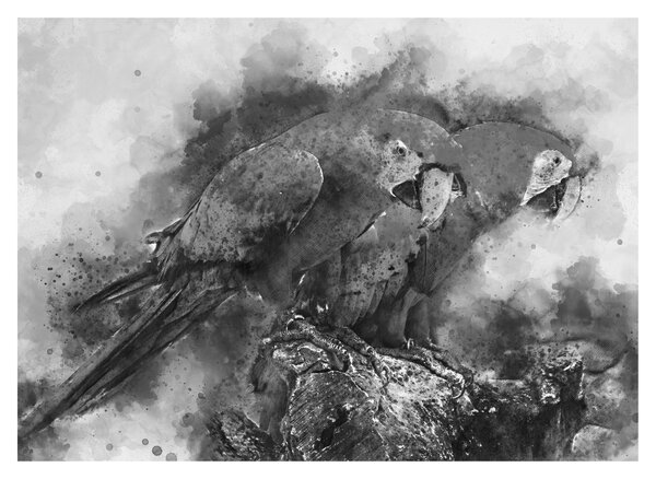 Obraz na szkle - Papugi akwarelowe (70x50 cm)