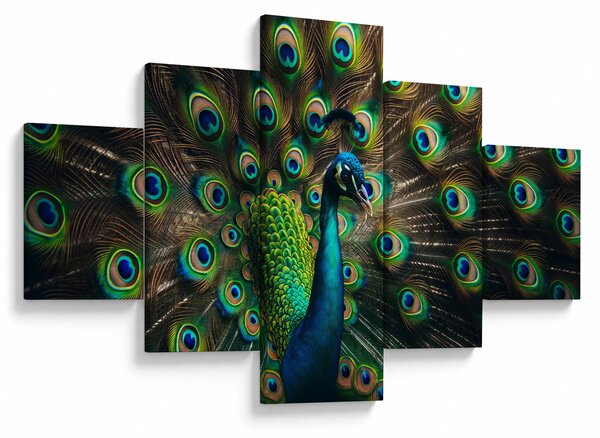 Obraz – Paw (125x70 cm)