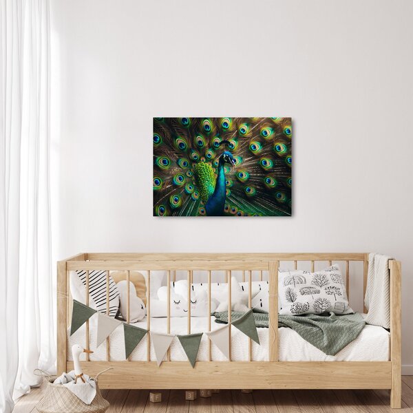 Obraz – Paw (70x50 cm)