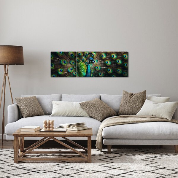 Obraz – Paw (z zegarem) (90x30 cm)