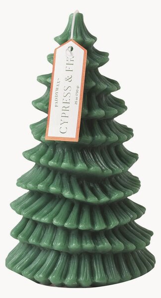 Świeca pieńkowa Cypress & Fir
