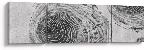 Obraz - Motyw drzewa (170x50 cm)