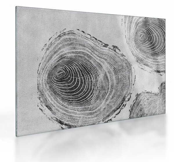 Obraz na szkle - Motyw drzewa (70x50 cm)