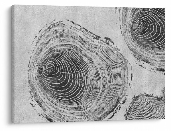 Obraz - Motyw drzewa (70x50 cm)
