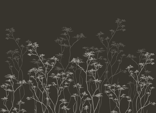 Fototapeta Grupa drzew z gałęziami, Fototapety Natura, Popularne Fototapety, t00671v1 - Tapeko.pl