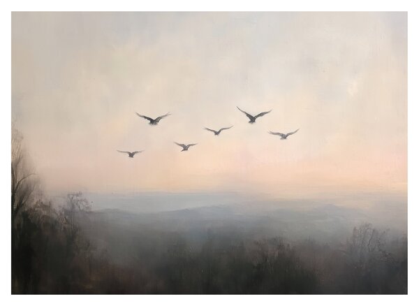 Obraz - Stado ptaków (70x50 cm)
