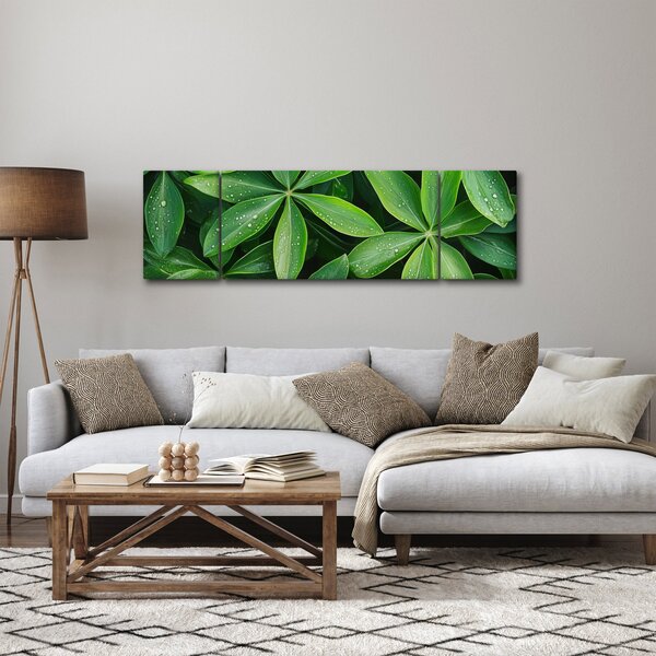 Obraz - Liście z kroplami rosy (170x50 cm)
