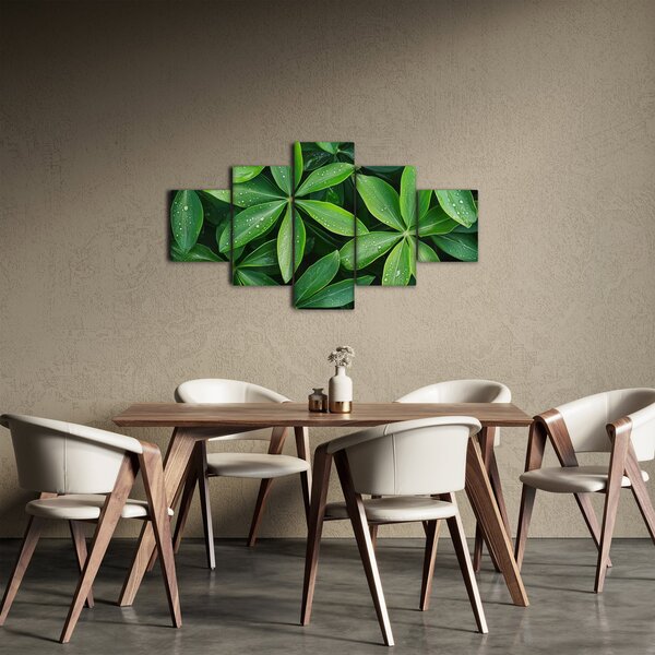 Obraz - Liście z kroplami rosy (125x70 cm)