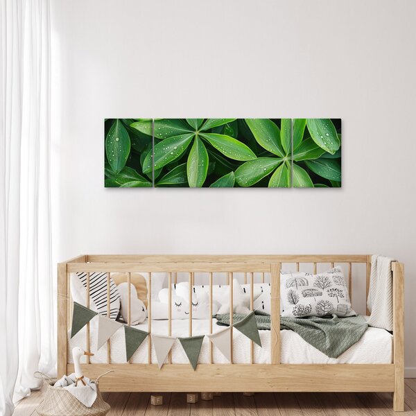 Obraz - Liście z kroplami rosy (170x50 cm)