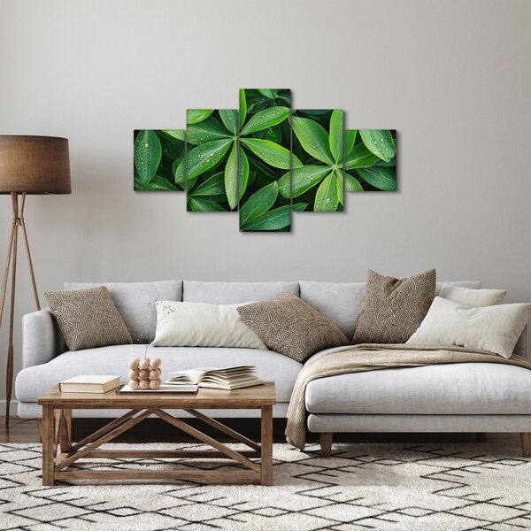 Obraz - Liście z kroplami rosy (125x70 cm)
