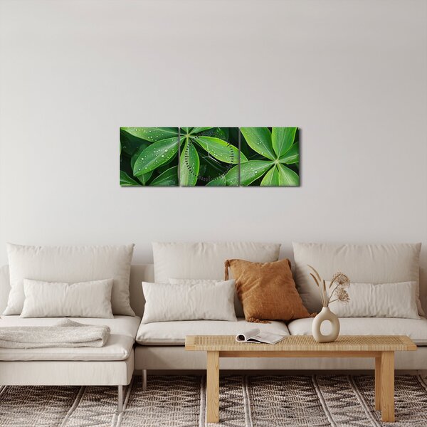 Obraz - Liście z kroplami rosy (z zegarem) (90x30 cm)