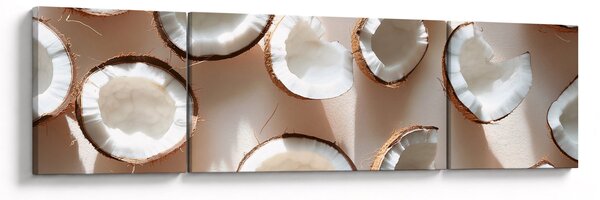 Obraz - Kokosy (170x50 cm)