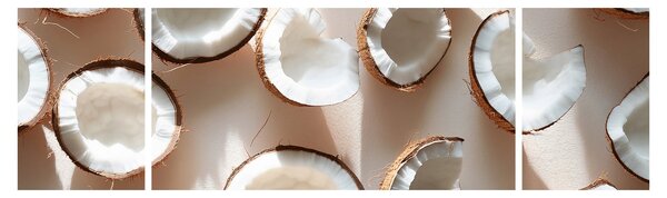 Obraz - Kokosy (170x50 cm)