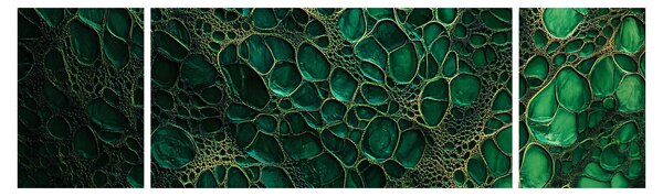 Obraz - Zielony mikroskopowy obraz (170x50 cm)