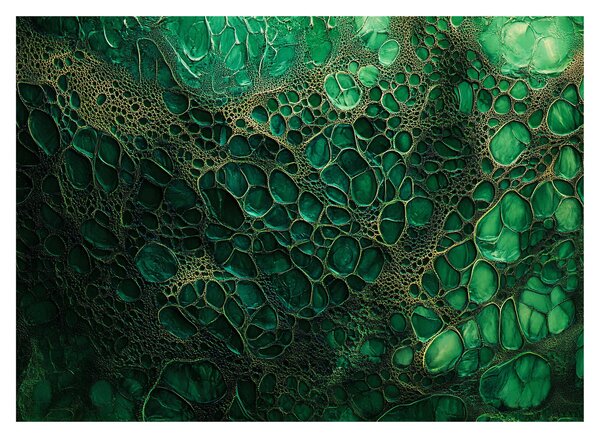 Obraz na szkle - Zielony mikroskopowy obraz (70x50 cm)