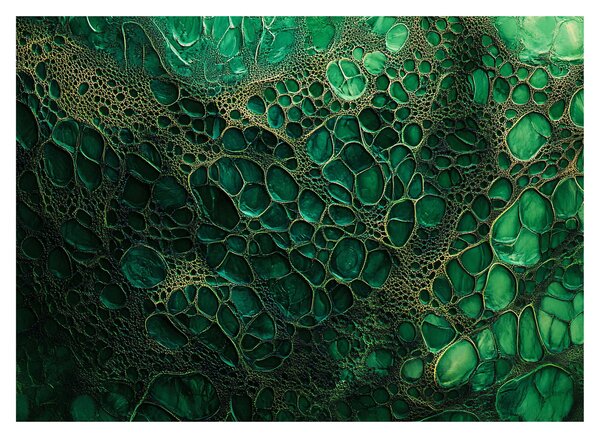 Obraz - Zielony mikroskopowy obraz (70x50 cm)
