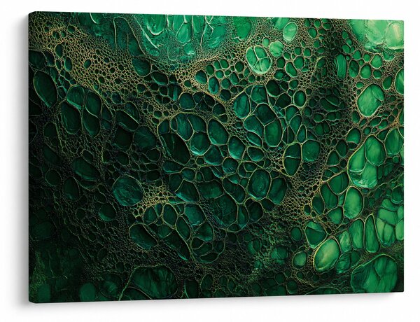 Obraz - Zielony mikroskopowy obraz (70x50 cm)