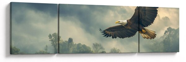 Obraz - Lecący orzeł (170x50 cm)