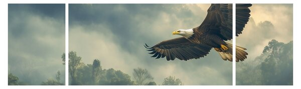 Obraz - Lecący orzeł (170x50 cm)