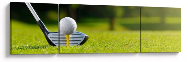 Obraz - Golf (170x50 cm)