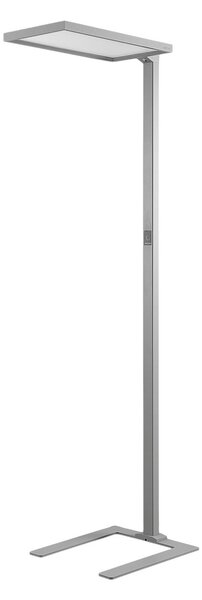 Lampa Podłogowa Arcchio, Nelus, ściemnialny, szary, gabinet | pracownia, metal