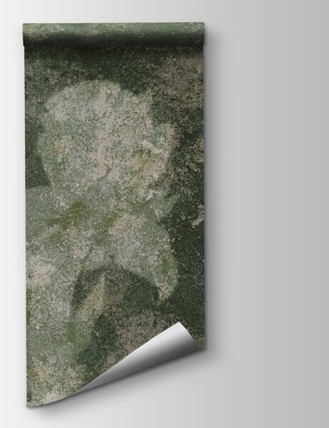 Fototapeta Wyblakłe kwiaty w delikatnych odcieniach zieleni, Fototapety Kwiaty, Popularne Fototapety, t01116v3 - Tapeko.pl