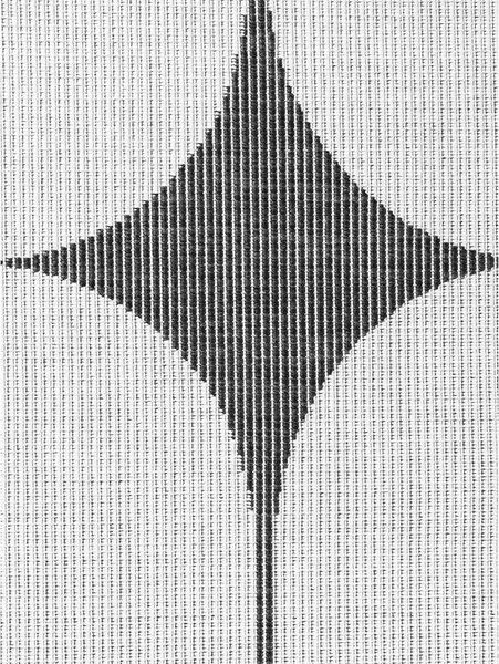 Czarno-biały dywan odpowiedni na zewnątrz 160x230 cm Duet Bowen – NORTHRUGS