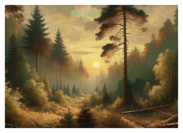 Obraz - Słońce świecące przez las (70x50 cm)
