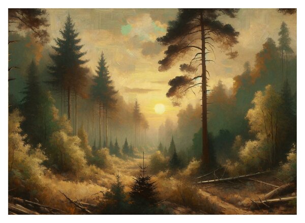 Obraz na szkle - Słońce świecące przez las (70x50 cm)