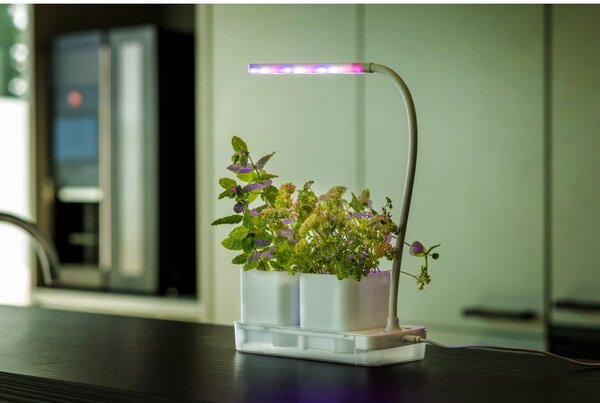 Metalowa stacja do uprawy roślin Lamp – Esschert Design
