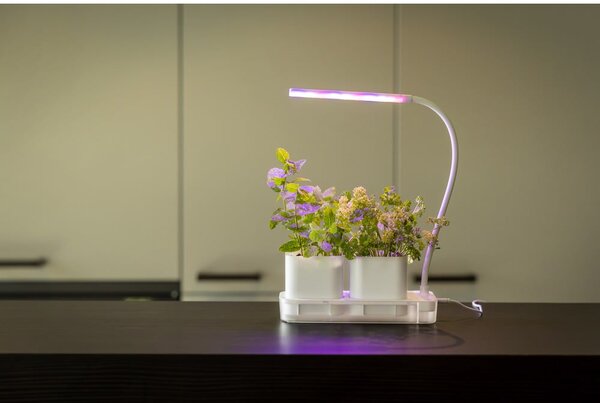 Metalowa stacja do uprawy roślin Lamp – Esschert Design