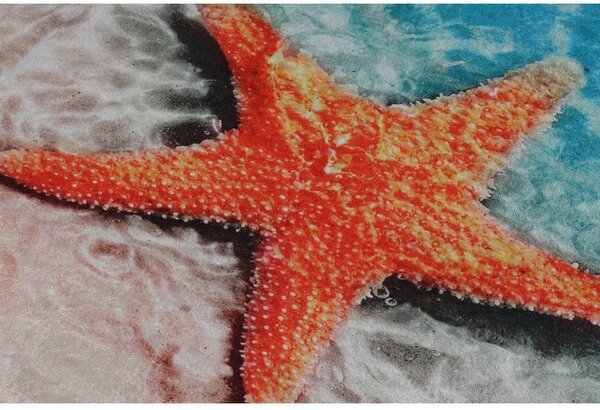 Dywaniki łazienkowe zestaw 2 szt. 60x100 cm Stella – Foutastic