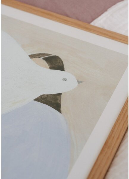 Plakat 70x50 cm Bright Bird – Clara Schicketanz – The Poster Club