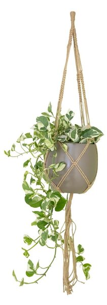 Tekstylny system do zawieszenia doniczki ø 13 cm (wysokość 100 cm) Macramé – Artevasi