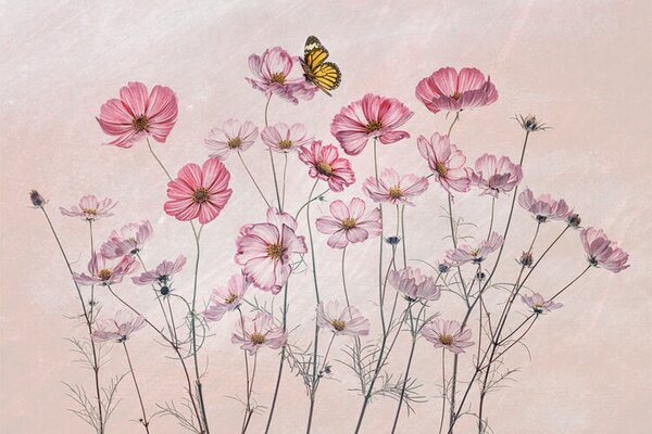 Ilustracja Cosmos and Butterfly, Lydia Jacobs