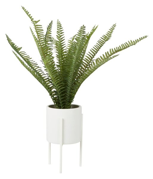 Sztuczna paproć (wysokość 56 cm) Fiori – Premier Housewares