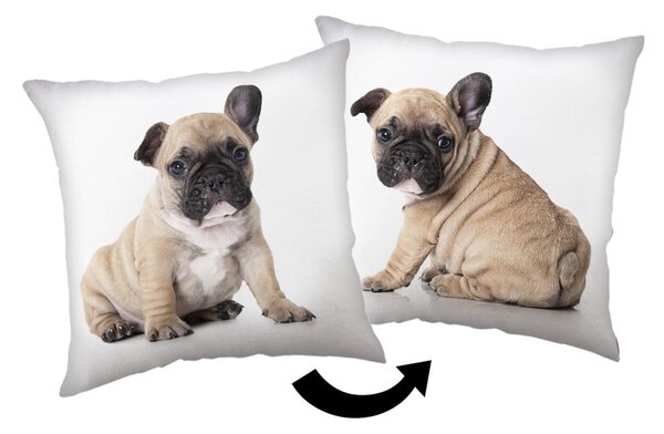 Poduszka dziecięca 40x40 cm Bulldog – Jerry Fabrics