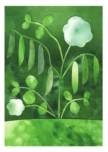 Plakat 50x70 cm Peas in Bloom – Anna Ravn Bjørn – The Poster Club