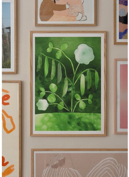 Plakat 50x70 cm Peas in Bloom – Anna Ravn Bjørn – The Poster Club