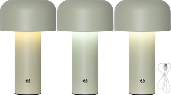 Zielona lampa stołowa LED (wysokość 21,5 cm) Bobby – Star Trading