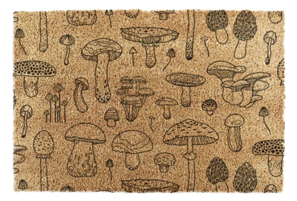 Wycieraczka z włókna kokosowego 40x60 cm Mushrooms – Artsy Doormats