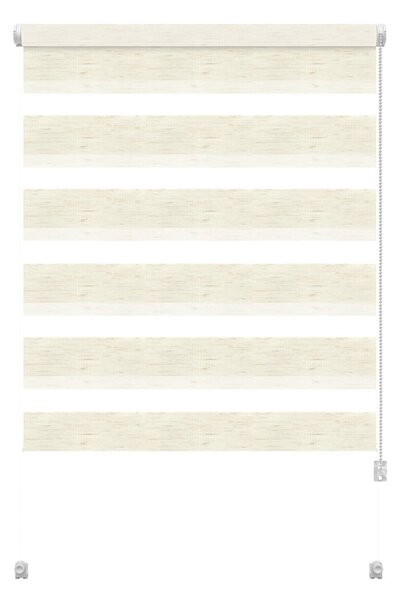 Roleta dzień i noc w naturalnym kolorze 57x150 cm Zebra Silvalin – Gardinia
