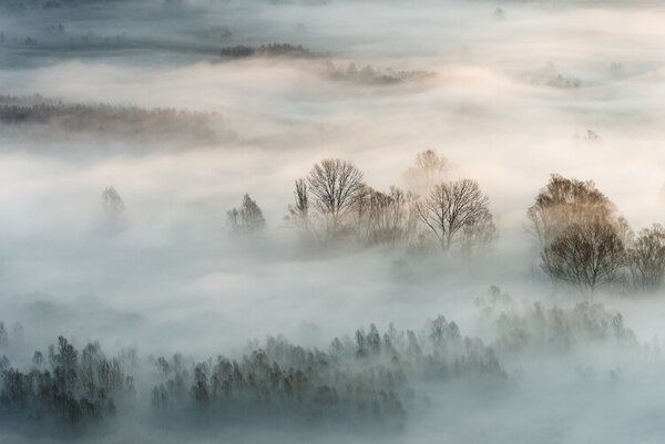 Fotografia Winter fog, Marco Galimberti