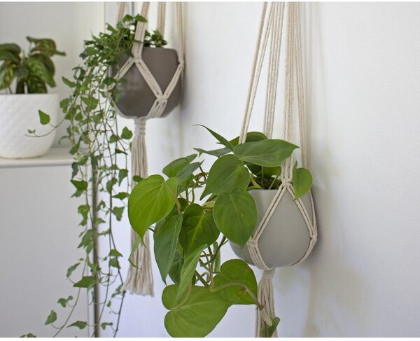 Tekstylny system do zawieszenia doniczki ø 13 cm (wysokość 100 cm) Macramé – Artevasi