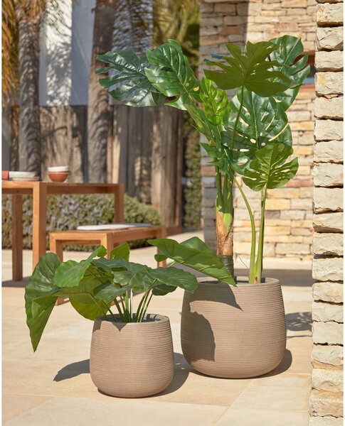 Sztuczna roślina (wysokość 57 cm) Odora – Kave Home