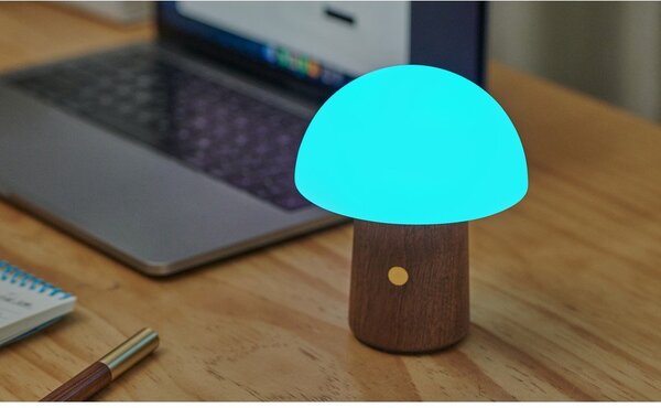 Biała/w ciemnym naturalnym kolorze lampa stołowa LED (wysokość 12,5 cm) Alice Mushroom – Gingko