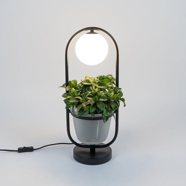 Lampa Stołowa Lindby, Orna, czarny, salon, metal, nowoczesny